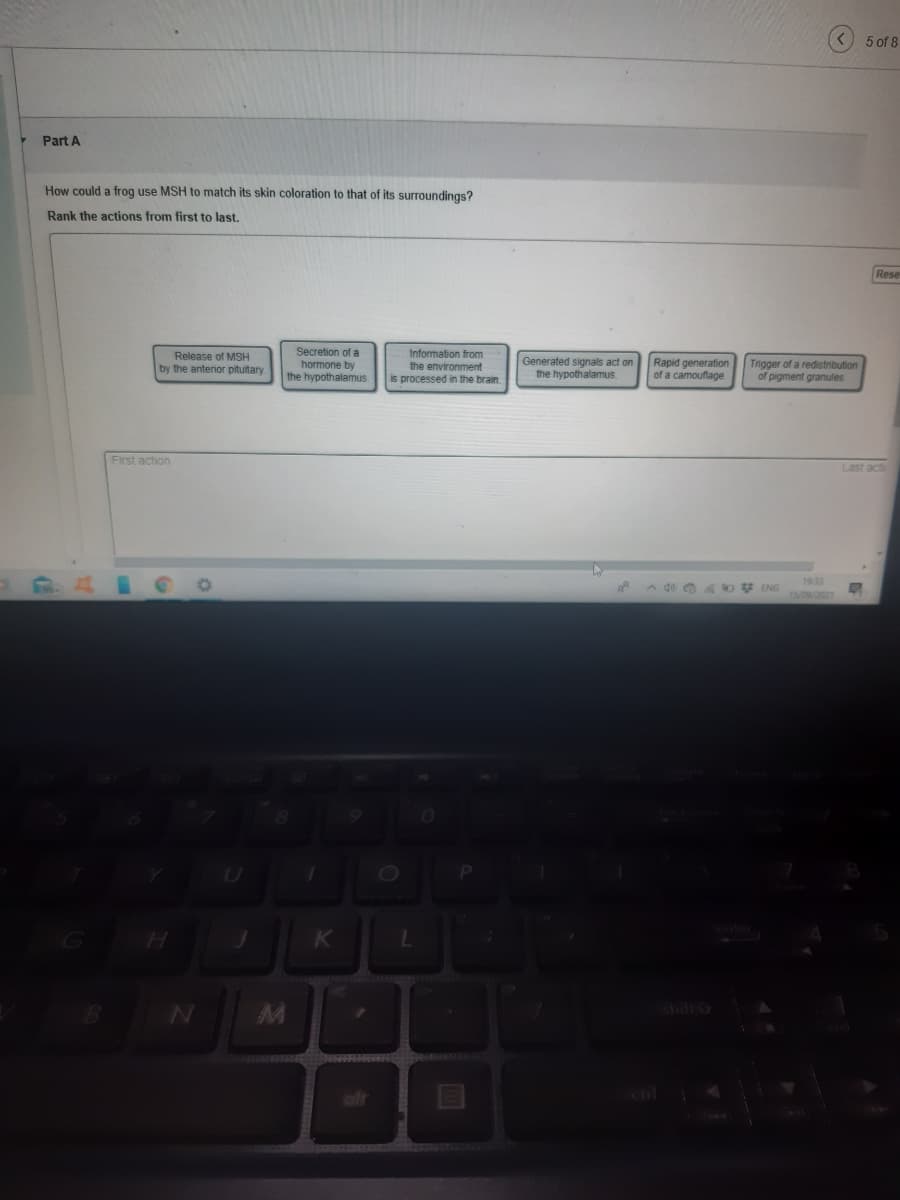 <) 5 of 8
Part A
How could a frog use MSH to match its skin coloration to that of its surroundings?
Rank the actions from first to last.
Rese
Secretion of a
hormone by
the hypothalamus
Information from
the environment
Release of MSH
Generated signals act on
the hypothalamus.
Rapid generation
of a camouflage
Trigger of a redistribution
of pigment granules
by the anterior pitultary
is processed in the brain.
First action
Last act
1933
H.
K
L
shift 3

