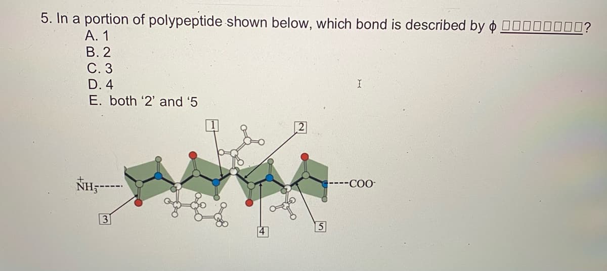 5. In a portion of polypeptide shown below, which bond is described by o 00000000?
А. 1
В. 2
С.3
D. 4
E. both '2' and '5
NH---
----CO-
3

