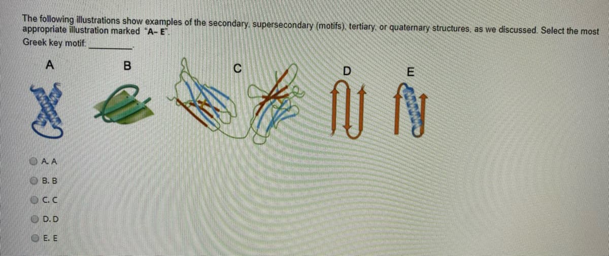 The following illustrations show examples of the secondary, supersecondary (motifs), tertiary or quaternary structures, as we discussed. Select the most
appropriate illustration marked "A-E.
Greek key motif:
A
E
OA. A
OB. B
OC.C
O D.D
OE. E
