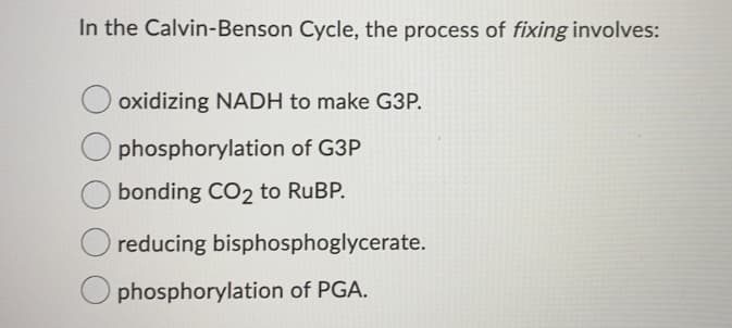 In the Calvin-Benson Cycle, the process of fixing involves:
oxidizing NADH to make G3P.
phosphorylation of G3P
bonding CO2 to RUBP.
reducing bisphosphoglycerate.
phosphorylation of PGA.
