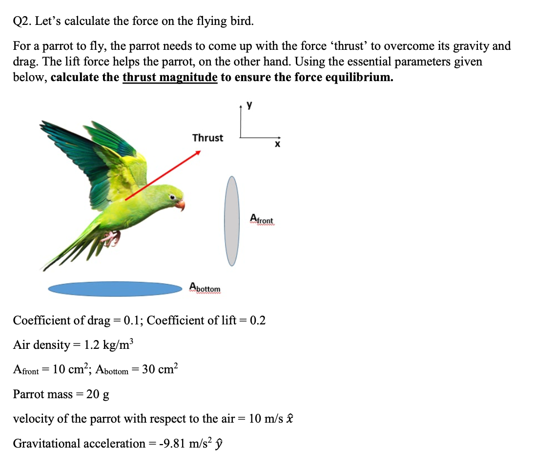 Q2. Let's calculate the force on the flying bird.
For a parrot to fly, the parrot needs to come up with the force 'thrust' to overcome its gravity and
drag. The lift force helps the parrot, on the other hand. Using the essential parameters given
below, calculate the thrust magnitude to ensure the force equilibrium.
y
Thrust
Afront
Abottom
Coefficient of drag = 0.1; Coefficient of lift= 0.2
Air density = 1.2 kg/m³
Afront
= 10 cm?; Abottom = 30 cm²
%3D
Parrot mass =
20 g
velocity of the parrot with respect to the air= 10 m/s â£
Gravitational acceleration = -9.81 m/s² ŷ

