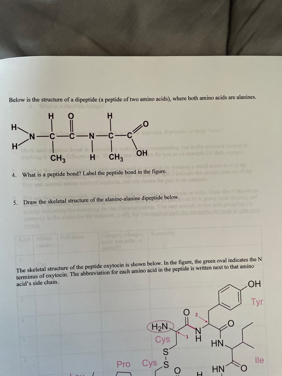 Below is the structure of a dipeptide (a peptide of two amino acids), where both amino acids are alanines.
H
H
H
H
N
C
N-C-
-C
HTCH 3
Z
corresponding line in the structure thicker or
one OHn for you as u example (in dark orange),
CH3
4. What is a peptide bond? Label the peptide bond in the figure.pointing a mall arrow to it or by
are shown for you as an example.
O
oxytocin, if present, or weite "poc"
5. Draw the skeletal structure of the alanine-alanine dipeptide below.
Category (charg
Pro
The skeletal structure of the peptide oxytocin is shown below. In the figure, the green oval indicates the N
terminus of oxytocin. The abbreviation for each amino acid in the peptide is written next to that amino
acid's side chain.
H₂N
Cys
Cys
O
H
HN.
HN
O
OH
Tyr
lle