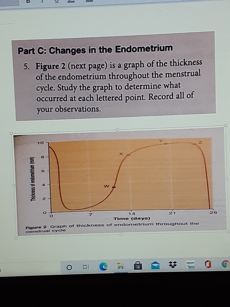Part C: Changes in the Endometrium
5. Figure 2 (next page) is a graph of the thickness
of the endometrium throughout the menstrual
cycle. Study the graph to determine what
occurred at each lettered point. Record all of
observations.
your
10
21
28
14
Time (days)
Figure 2 Graph of thícknes s of end ometrium throughout the
menstrual cycle
AMANE
Thickness of endometrium (mm)
