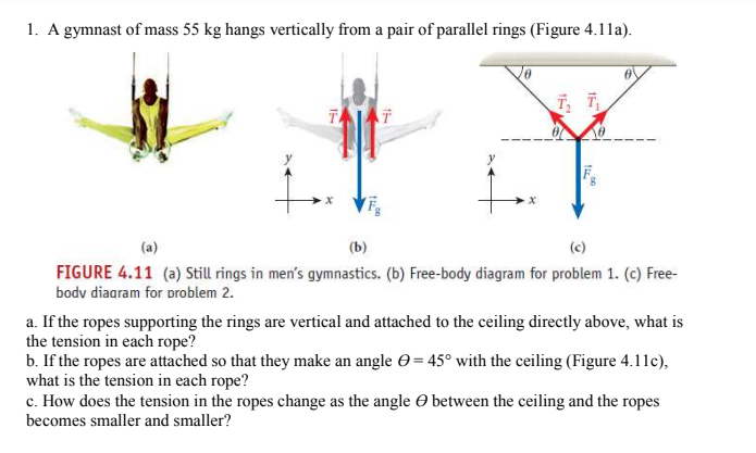1. A gymnast of mass 55 kg hangs vertically from a pair of parallel rings (Figure 4.11a).
T, T₁
T
T
X
(a)
(b)
(c)
FIGURE 4.11 (a) Still rings in men's gymnastics. (b) Free-body diagram for problem 1. (c) Free-
body diagram for problem 2.
a. If the ropes supporting the rings are vertical and attached to the ceiling directly above, what is
the tension in each rope?
b. If the ropes are attached so that they make an angle = 45° with the ceiling (Figure 4.11c),
what is the tension in each rope?
between the ceiling and the ropes
c. How does the tension in the ropes change as the angle
becomes smaller and smaller?
1