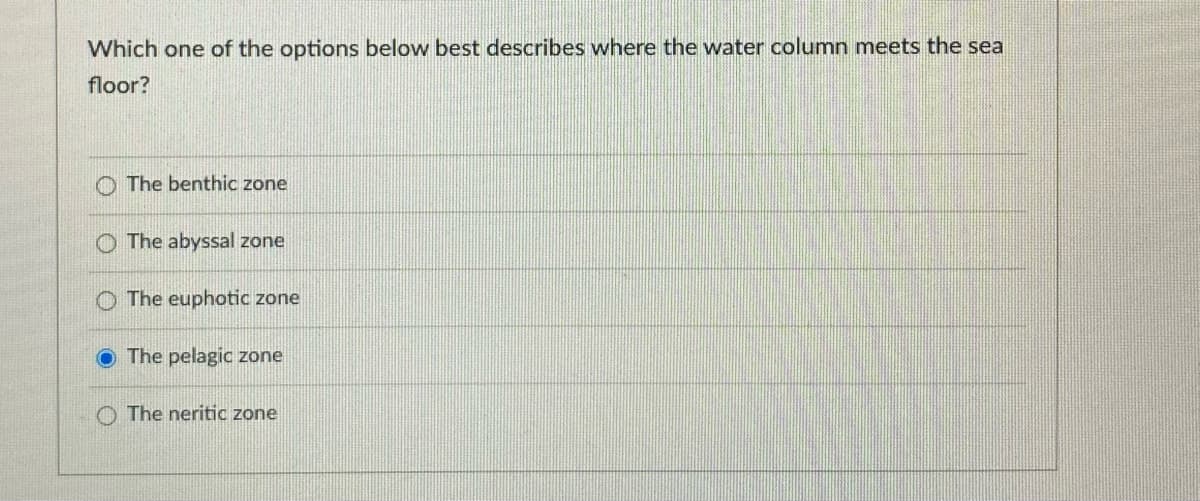 Which one of the options below best describes where the water column meets the sea
floor?
The benthic zone
The abyssal zone
The euphotic zone
O The pelagic zone
The neritic zone