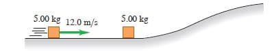 5.00 kg 12.0 m/s
5.00 kg
