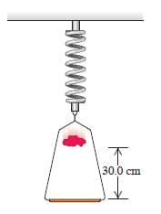 30.0 cm
