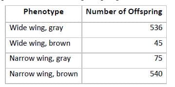 Phenotype
Number of Offspring
Wide wing, gray
536
Wide wing, brown
45
Narrow wing, gray
75
Narrow wing, brown
540
