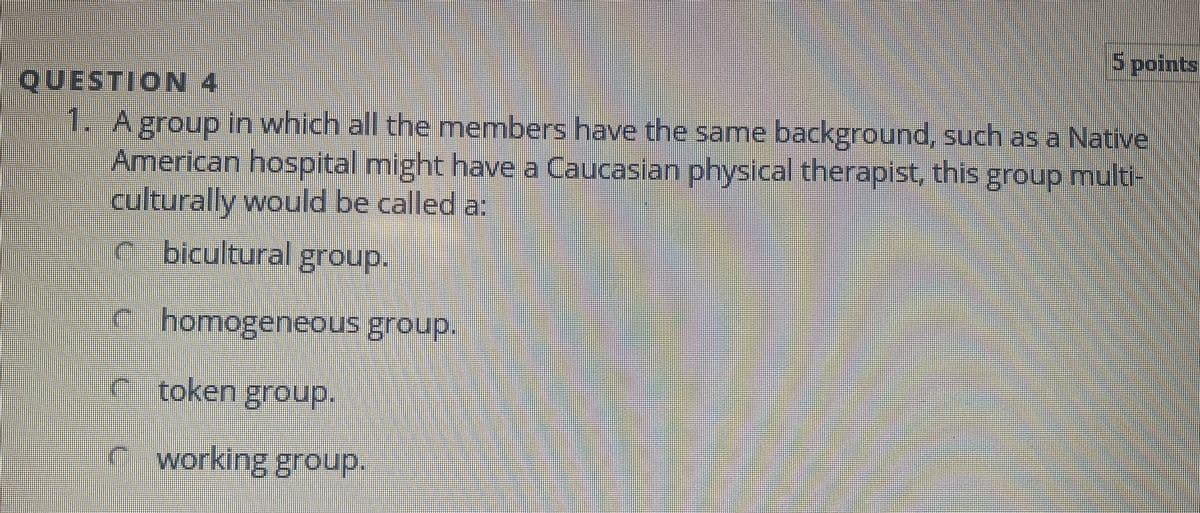 S points
QUESTION 4
1. Agroup in which all the members have the same background, such as a Native
American hospital might have a Caucasian physical therapist, this group multi-
culturally would be called a:
c bicultural group.
c homogeneous group.
C token group.
cworking group.
