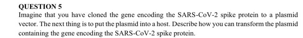 QUESTION 5
Imagine that you have cloned the gene encoding the SARS-CoV-2 spike protein to a plasmid
vector. The next thing is to put the plasmid into a host. Describe how you can transform the plasmid
containing the gene encoding the SARS-CoV-2 spike protein.
