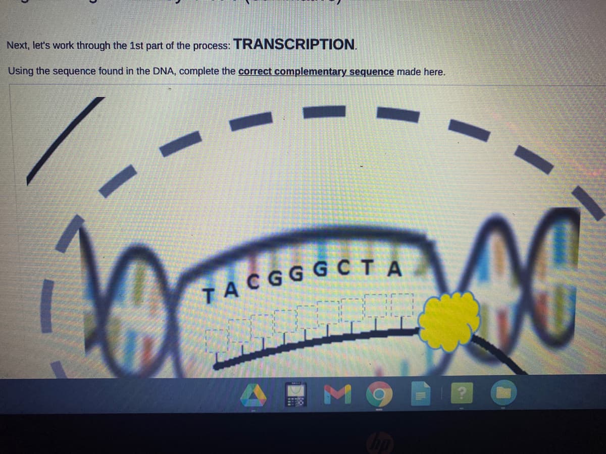 Next, let's work through the 1st part of the process: TRANSCRIPTION.
Using the sequence found in the DNA, complete the correct complementary sequence made here.
ACGGדG C TA
M9
