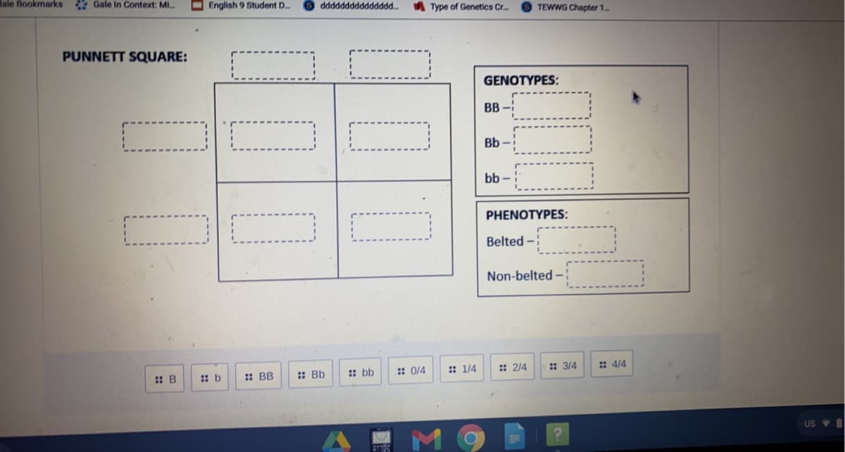 dale Bookmarks Gale In Context: Mi.
English 9 Student D..
A Type of Genetics Cr..
TEWWG Chapter 1.
"PPPPPPPPPppPppp
PUNNETT SQUARE:
GENOTYPES:
BB-
Bb –
bb -
PHENOTYPES:
Belted -
Non-belted –;
:: 1/4
:: 2/4
: 3/4
: 4/4
:: BB
:: bb
:: 0/4
:: B
:: Bb
US V I
