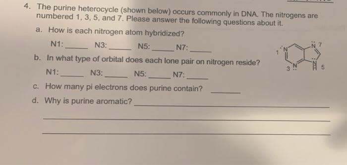 4. The purine heterocycle (shown below) occurs commonly in DNA. The nitrogens are
numbered 1, 3 , 5, and 7. Please answer the following questions about it.
a. How is each nitrogen atom hybridized?
N1:
_ N3:
N5:
N7:
b. In what type of orbital does each lone pair on nitrogen reside?
3
N1:
N3:
N5:
N7:
c. How many pi electrons does purine contain?
d. Why is purine aromatic?
