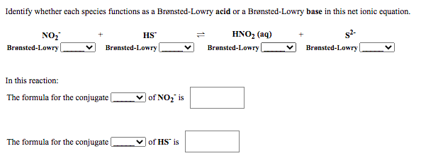 Identify whether each species functions as a Brønsted-Lowry acid or a Brønsted-Lowry base in this net ionic equation.
NO,
Brønsted-Lowry |
HS
HNO, (aq)
s2-
Brønsted-Lowry
Brønsted-Lowry
Brønsted-Lowry
In this reaction:
The formula for the conjugate |
v of NO, is
The formula for the conjugate
of HS' is
