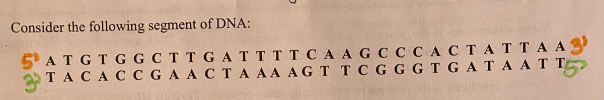 Consider the following segment of DNA:
5 ATGTGG C T T GAT T T T CA AG C
TA CAC C G A ACT A A A AG T T C G G GT GATA AT T
CACTATTA A
