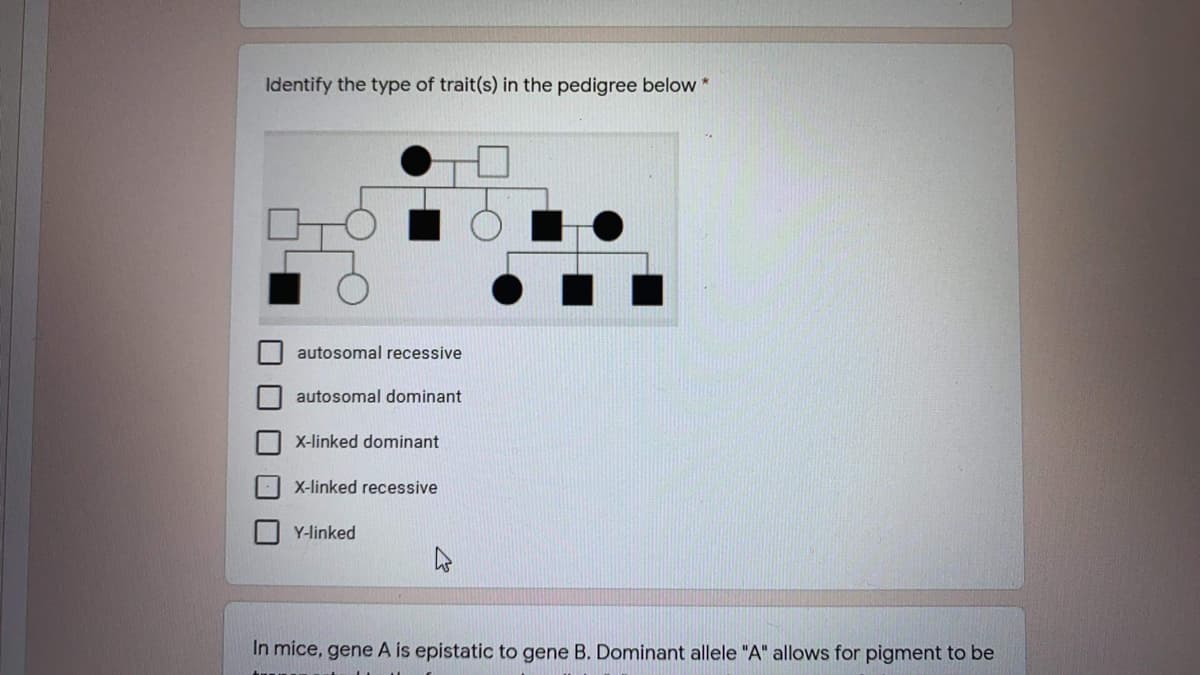Identify the type of trait(s) in the pedigree below *
autosomal recessive
autosomal dominant
X-linked dominant
X-linked recessive
Y-linked
In mice, gene A is epistatic to gene B. Dominant allele "A" allows for pigment to be
O O
