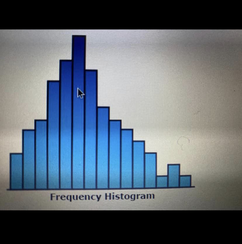 Frequency Histogram
