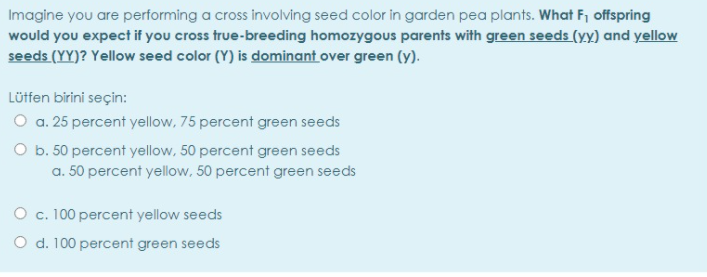 Imagine you are performing a cross involving seed color in garden pea plants. What F1 offspring
would you expect if you cross true-breeding homozygous parents with green seeds (yy) and yellow
seeds (YY)? Yellow seed color (Y) is dominant over green (y).
Lütfen birini seçin:
a. 25 percent yellow, 75 percent green seeds
O b. 50 percent yellow, 50 percent green seeds
a. 50 percent yellow, 50 percent green seeds
O c. 100 percent yellow seeds
O d. 100 percent green seeds
