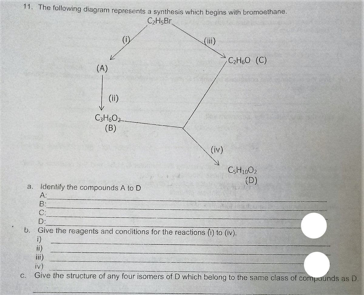 11. The following diagram represents a synthesis which begins with bromoethane.
C2H5B.
(i)
(iii)
CH6O (C)
(A)
(ii)
C3H5O2
(B)
(iv)
C5H1002
(D)
a. Identify the compounds A to D
A:
B:
C:
D:
b. Give the reagents and conditions for the reactions (i) to (iv).
i)
ii)
iv)
Give the structure of any four isomers of D which belong to the same class of compounds as D.
C.
