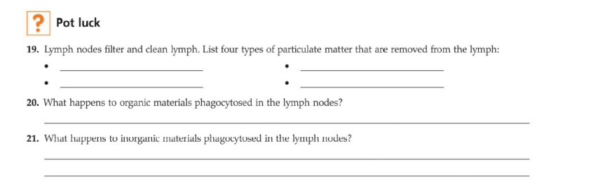 ? Pot luck
19. Lymph nodes filter and clean lymph. List four types of particulate matter that are removed from the lymph:
20. What happens to organic materials phagocytosed in the lymph nodes?
21. What happens to inorganic materials phagocytused in the lymph nodes?
