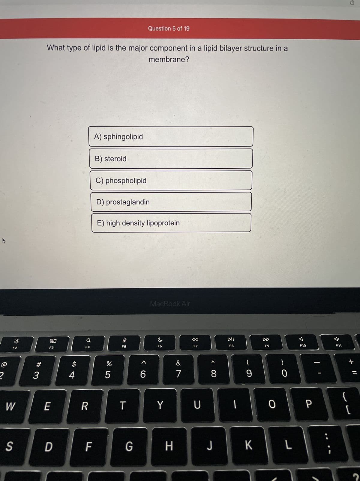 @
2
F2
W
S
#
3
What type of lipid is the major component in a lipid bilayer structure in a
membrane?
20
F3
E
D
4
Q
F4
R
F
A) sphingolipid
B) steroid
C) phospholipid
D) prostaglandin
E) high density lipoprotein
%
5
lº
Question 5 of 19
T
G
6
MacBook Air
C
F6
Y
I
H
&
7
K
F7
U
*
8
DII
F8
1
(
9
K
F9
0
0
L
F10
P
F11
3
+ 11
{
[