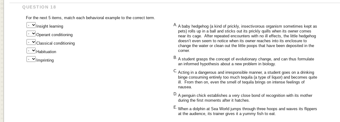 QUESTION 18
For the next 5 items, match each behavioral example to the correct term.
- Insight learning
A. A baby hedgehog (a kind of prickly, insectivorous organism sometimes kept as
pets) rolls up in a ball and sticks out its prickly quills when its owner comes
near its cage. After repeated encounters with no ill effects, the little hedgehog
doesn't even seem to notice when its owner reaches into its enclosure to
Operant conditioning
Classical conditioning
change the water or clean out the little poops that have been deposited in the
|- VHabituation
corner,
- v Imprinting
B.
A student grasps the concept of evolutionary change, and can thus formulate
an informed hypothesis about a new problem in biology.
C- Acting in a dangerous and irresponsible manner, a student goes on a drinking
binge consuming entirely too much tequila (a type of liquor) and becomes quite
ill. From then on, even the smell of tequila brings on intense feelings of
nausea.
D. A penguin chick establishes a very close bond of recognition with its mother
during the first moments after it hatches.
E: When a dolphin at Sea World jumps through three hoops and waves its flippers
at the audience, its trainer gives it a yummy fish to eat.
