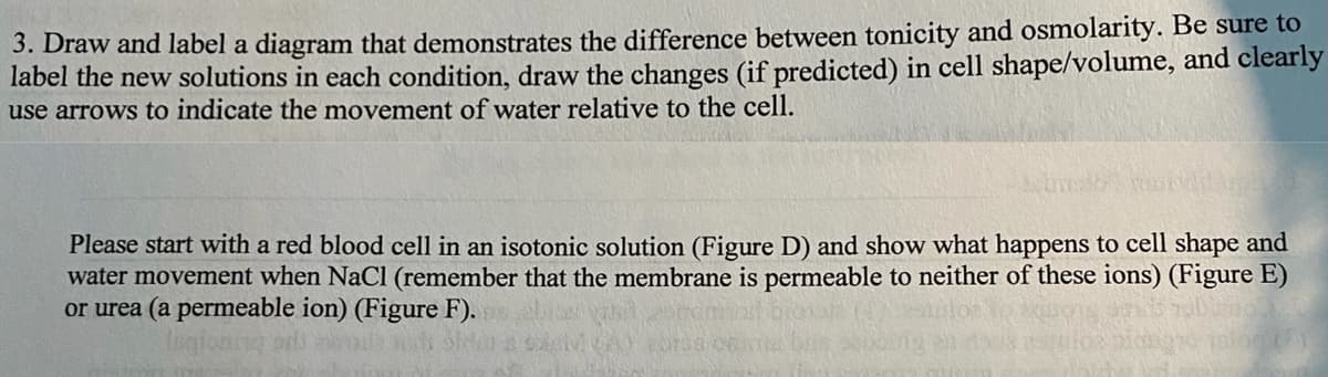 3. Draw and label a diagram that demonstrates the difference between tonicity and osmolarity. Be sure to
label the new solutions in each condition, draw the changes (if predicted) in cell shape/volume, and clearly
use arrows to indicate the movement of water relative to the cell.
Please start with a red blood cell in an isotonic solution (Figure D) and show what happens to cell shape and
water movement when NaCl (remember that the membrane is permeable to neither of these ions) (Figure E)
or urea (a permeable ion) (Figure F).
