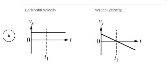 Horizontal Velocity
Vertical Velocity
Vy
A
