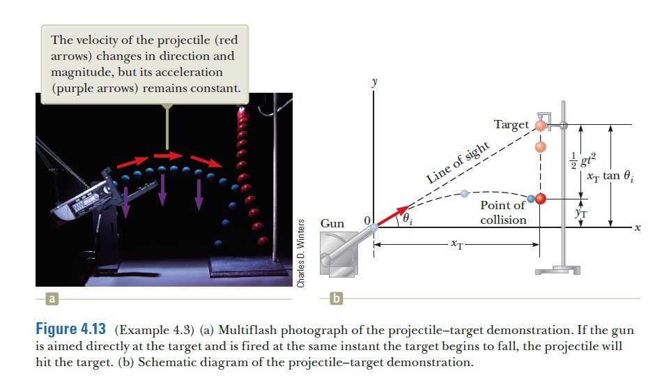 The velocity of the projectile (red
arrows) changes in direction and
magnitude, but its acceleration
(purple arrows) remains constant.
y
Target
------
Line of sight
Xr tan 0;
Point of
Gun
collision
Ут
Figure 4.13 (Example 4.3) (a) Multiflash photograph of the projectile-target demonstration. If the gun
is aimed directly at the target and is fired at the same instant the target begins to fall, the projectile will
hit the target. (b) Schematic diagram of the projectile-target demonstration.
Charles D. Winters
