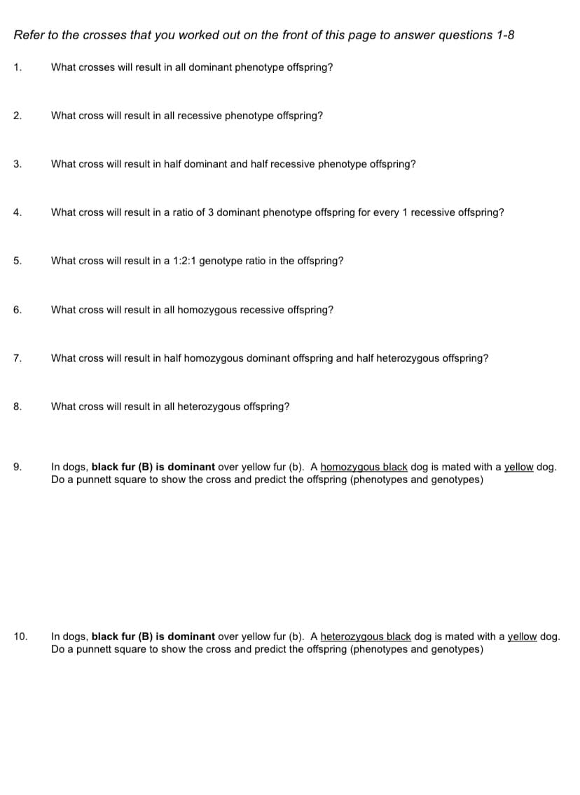 Refer to the crosses that you worked out on the front of this page to answer questions 1-8
1.
What crosses will result in all dominant phenotype offspring?
2.
What cross will result in all recessive phenotype offspring?
3.
What cross will result in half dominant and half recessive phenotype offspring?
4.
What cross will result in a ratio of 3 dominant phenotype offspring for every 1 recessive offspring?
5.
What cross will result in a 1:2:1 genotype ratio in the offspring?
6.
What cross will result in all homozygous recessive offspring?
7.
What cross will result in half homozygous dominant offspring and half heterozygous offspring?
8.
What cross will result in all heterozygous offspring?
In dogs, black fur (B) is dominant over yellow fur (b). A homozygous black dog is mated with a yellow dog.
Do a punnett square to show the cross and predict the offspring (phenotypes and genotypes)
9.
In dogs, black fur (B) is dominant over yellow fur (b). A heterozygous black dog is mated with a yellow dog.
Do a punnett square to show the cross and predict the offspring (phenotypes and genotypes)
10.
