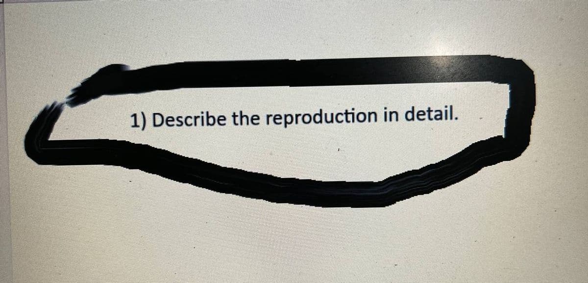 1) Describe the reproduction in detail.