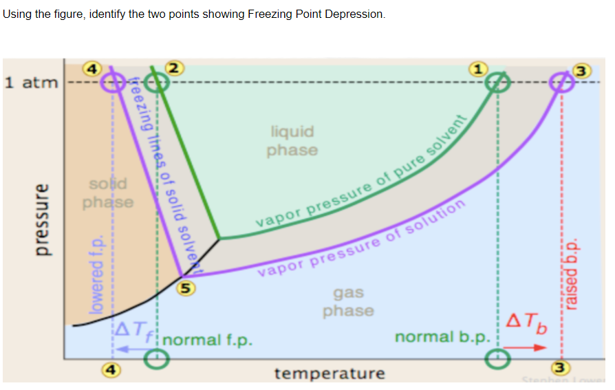 Using the figure, identify the two points showing Freezing Point Depression.
1 atm
3
liquid
phase
soid
phase
5
vapor pressure of solution
gas
phase
ATinormal f.p.
normal b.p.
4
temperature
3
freezing Itnes of solid solve
pressure
lowered f.p.
"d'q pəsa

