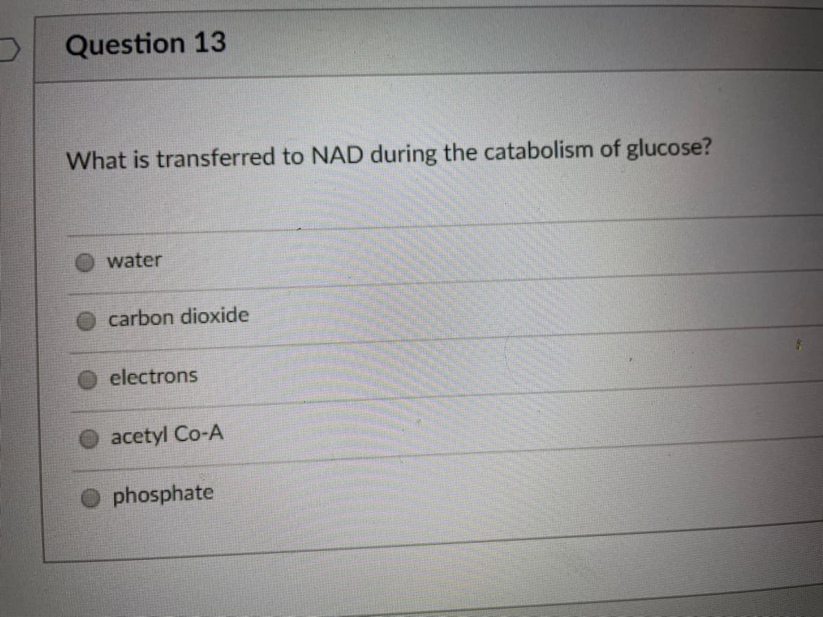 Question 13
What is transferred to NAD during the catabolism of glucose?
water
carbon dioxide
electrons
acetyl Co-A
phosphate
