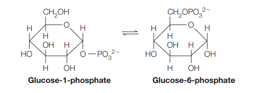 CH,OH
CH,OPO,
H
H
H
OH H
OH H
Но
O-PO,2-
Но
OH
H
OH
H
OH
Glucose-1-phosphate
Glucose-6-phosphate
