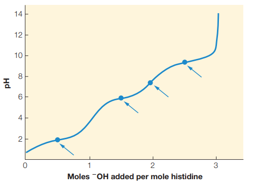 14
12
10
8.
6
4
1
2
3
Moles -OH added per mole histidine
2.
Hd
