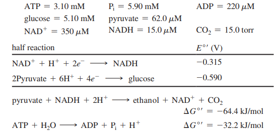 ATP = 3.10 mM
P = 5.90 mM
ADP = 220 µM
%3D
glucose = 5.10 mM
NAD* = 350 µM
pyruvate = 62.0 µM
NADH = 15.0 µM
CO, = 15.0 torr
half reaction
E°' (V)
NAD* + H* + 2e¯
→ NADH
-0.315
2Pyruvate + 6H+ + 4e¯
glucose
-0.590
pyruvate + NADH + 2H*
ethanol + NAD* + CO2
AG°' = -64.4 kJ/mol
ATP + H,O
ADP + P; + H*
AG°"
-32.2 kJ/mol
%3D

