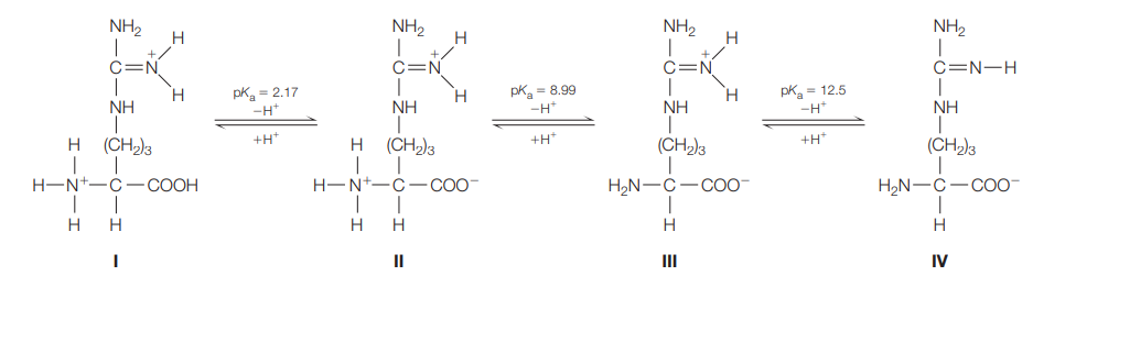 NH2
NH2
H
NH2
NH2
H.
C=Ñ
C=N
C=N
C=N-H
pka = 2.17
-H*
pk = 8.99
-H*
pk = 12.5
-H*
H.
H.
NH
NH
NH
NH
+H"
+H*
+H*
H
(CH2)3
H
(CH,)3
(CH2)3
(CH2)3
H-N+
С —СООН
H-N
C-CO
H,N-C-COO
H,N-C
H
H
H
H
H
II
II
IV
