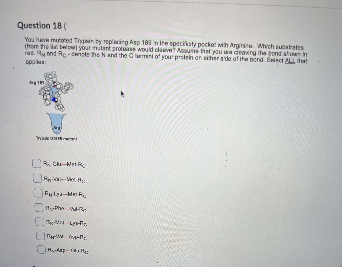 Question 18 (
You have mutated Trypsin by replacing Asp 189 in the specificity pocket with Arginine. Which substrates
(from the list below) your mutant protease would cleave? Assume that you are cleaving the bond shown in
red. RN and Rc-denote the N and the C termini of your protein on either side of the bond. Select ALL that
applies:
Arg 189.
Arg
Trypsin D189R mutant
RN-Glu---Met-Rc
RN-Val---Met-Rc
RN-Lys---Met-Rc
RN-Phe---Val-Rc
RN-Met---Lys-Rc
RN-Val---Asp-Rc
RN-Asp---Glu-Rc
00