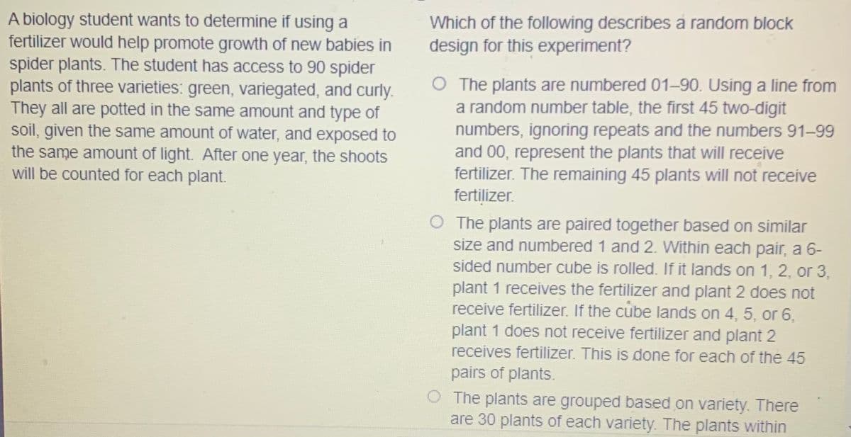 A biology student wants to determine if using a
fertilizer would help promote growth of new babies in
spider plants. The student has access to 90 spider
plants of three varieties: green, variegated, and curly.
They all are potted in the same amount and type of
soil, given the same amount of water, and exposed to
the same amount of light. After one year, the shoots
will be counted for each plant.
Which of the following describes a random block
design for this experiment?
The plants are numbered 01-90. Using a line from
a random number table, the first 45 two-digit
numbers, ignoring repeats and the numbers 91-99
and 00, represent the plants that will receive
fertilizer. The remaining 45 plants will not receive
fertilizer.
O The plants are paired together based on similar
size and numbered 1 and 2. Within each pair, a 6-
sided number cube is rolled. If it lands on 1, 2, or 3,
plant 1 receives the fertilizer and plant 2 does not
receive fertilizer. If the cube lands on 4, 5, or 6,
plant 1 does not receive fertilizer and plant 2
receives fertilizer. This is done for each of the 45
pairs of plants.
O The plants are grouped based on variety. There
are 30 plants of each variety. The plants within
