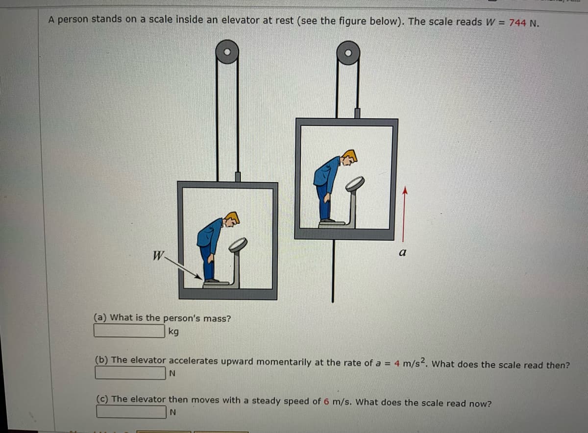 A person stands on a scale inside an elevator at rest (see the figure below). The scale reads W = 744 N.
W
a
(a) What is the person's mass?
kg
(b) The elevator accelerates upward momentarily at the rate of a = 4 m/s2. What does the scale read then?
N.
(c) The elevator then moves with a steady speed of 6 m/s. What does the scale read now?
N
