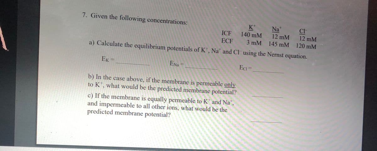7. Given the following concentrations:
K*
ICF 140 mM
Na
CH
12 mM
12 mM
ECF
3 mM 145 mM 120 mM
a) Calculate the equilibrium potentials of K, Na* and Cl using the Nernst equation.
EK =
ENa =
ECi =
b) In the case above, if the membrane is permeable only
to K, what would be the predicted membrane potential?
c) If the membrane is equally permeable to K and Na",
and impermeable to all other ions, what would be the
predicted membrane potential?
