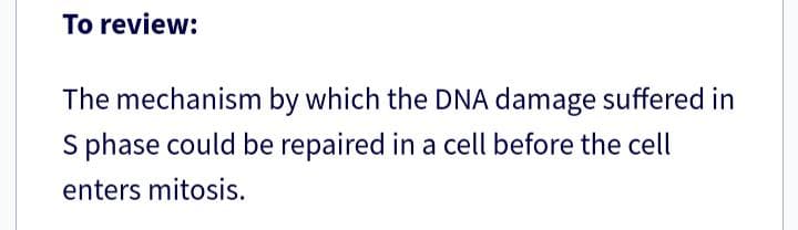 To review:
The mechanism by which the DNA damage suffered in
S phase could be repaired in a cell before the cell
enters mitosis.