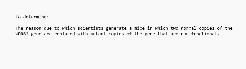 To determine:
The reason due to which scientists generate a mice in which two normal copies of the
WDR62 gene are replaced with mutant copies of the gene that are non functional.