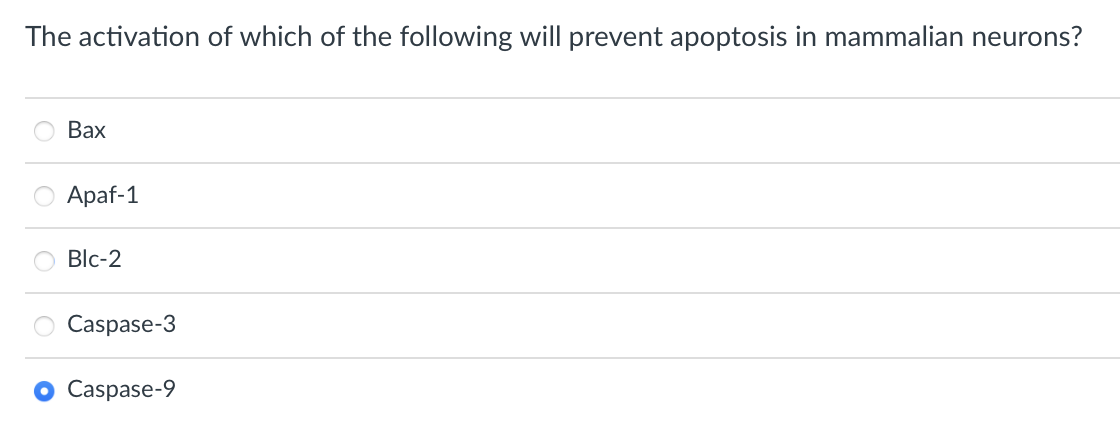 The activation of which of the following will prevent apoptosis in mammalian neurons?
Вах
Аpaf-1
Blc-2
Caspase-3
Caspase-9
