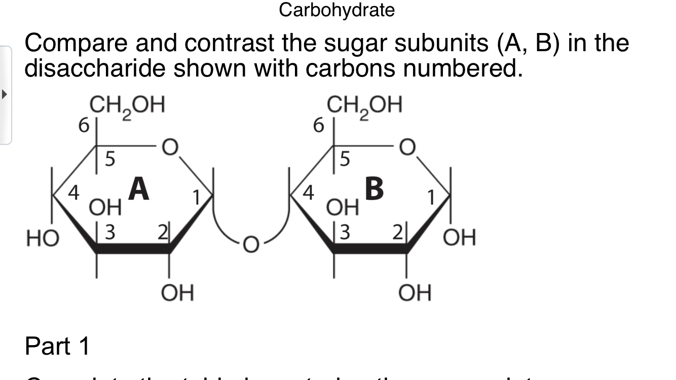 Compare and contrast the sugar subunits (A, B) in the
disaccharide shown with carbons numbered.
CH,OH
CH,OH
6
6.
5
5
A
(4
ОН
2
3
4
OH
НО
3
21
OH
