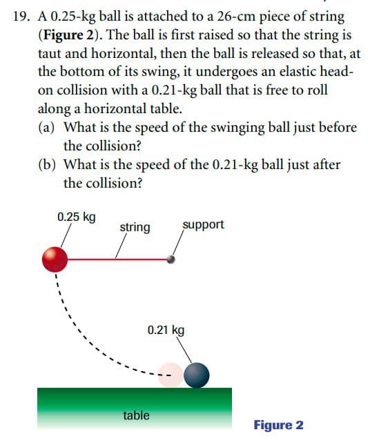 19. A 0.25-kg ball is attached to a 26-cm piece of string
(Figure 2). The ball is first raised so that the string is
taut and horizontal, then the ball is released so that, at
the bottom of its swing, it undergoes an elastic head-
on collision with a 0.21-kg ball that is free to roll
along a horizontal table.
(a) What is the speed of the swinging ball just before
the collision?
(b) What is the speed of the 0.21-kg ball just after
the collision?
0.25 kg
string
support
0.21 kg
table
Figure 2
