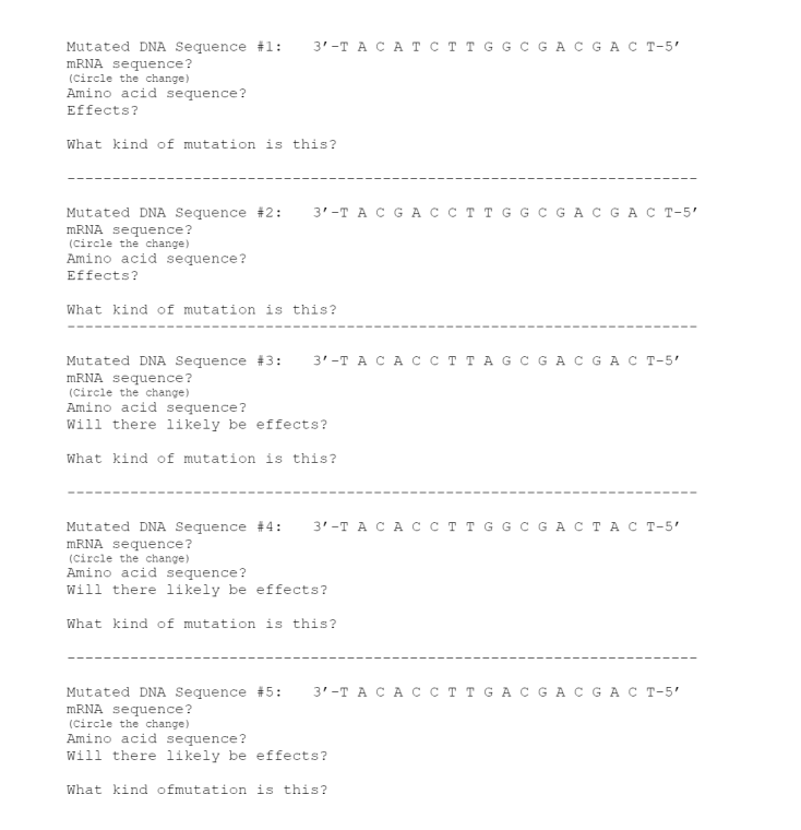 3' -T ACATC T T G G C GAC GAC T-5'
Mutated DNA Sequence #1:
MRNA sequence?
(Circle the change)
Amino acid sequence?
Effects?
What kind of mutation is this?
3'-ТАCGA ссттсGсGACGACT-5'
Mutated DNA Sequence #2:
MRNA sequence?
(circle the change)
Amino acid sequence?
Effects?
What kind of mutation is this?
3' -T A CACCTTAG C G AC GAC T-5'
Mutated DNA Sequence #3:
MRNA sequence?
(Circle the change)
Amino acid sequence?
Will there likely be effects?
What kind of mutation is this?
3' -T ACACCT T G G C G A CTAC T-5'
Mutated DNA Sequence #4:
MRNA sequence?
(circle the change)
Amino acid sequence?
Will there likely be effects?
What kind of mutation is this?
3' -T A CA CCT T G A C GAC GAC T-5'
Mutated DNA Sequence #5:
MRNA sequence?
(circle the change)
Amino acid sequence?
Will there likely be effects?
What kind ofmutation is this?
