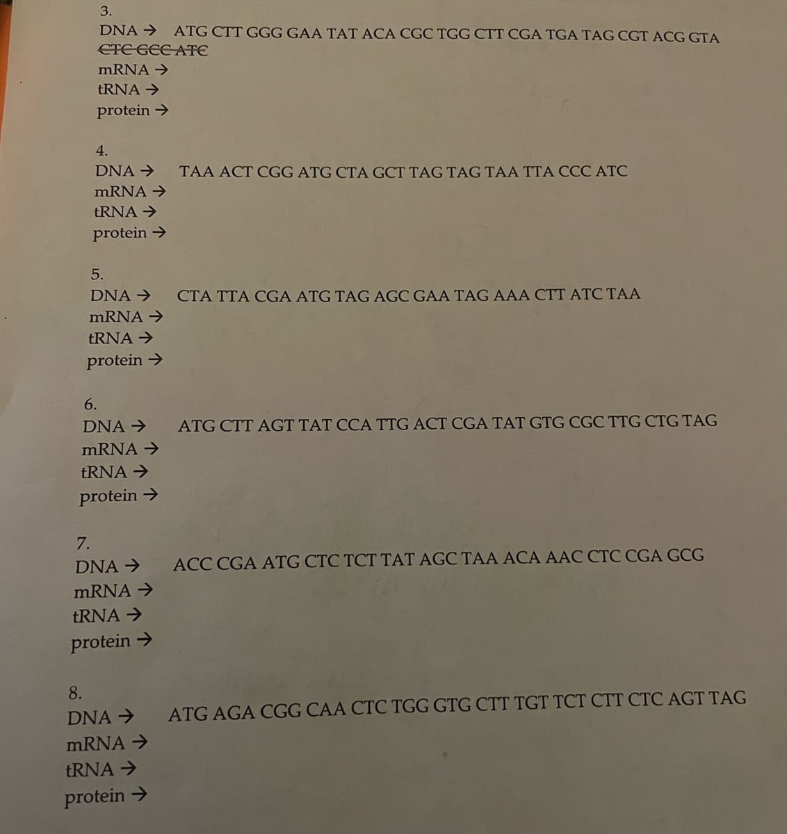 3.
DNA →
ATG CTT GGG GAA TAT ACA CGC TGG CTT CGA TGA TAG CGT ACG GTA
ETE GEE ATE
MRNA →
ERNA →
protein →
4.
DNA →
TAA ACT CGG ATG CTA GCT TAG TAG TAA TTA CCC ATC
MRNA →
TRNA →
protein →
5.
DNA →
CTA TTA CGA ATG TAG AGC GAA TAG AAA CTT ATC TAA
mRNA →
tRNA →
protein >
6.
DNA →
ATG CTT AGT TAT CCA TTG ACT CGA TAT GTG CGC TTG CTG TAG
MRNA →
tRNA →
protein >
7.
DNA →
ACC CGA ATG CTC TCT TAT AGC TAA ACA AAC CTC CGA GCG
MRNA →
TRNA →
protein >
8.
DNA →
ATG AGA CGG CAA CTC TGG GTG CTT TGT TCT CTT CTC AGT TAG
MRNA →
tRNA >
protein >
