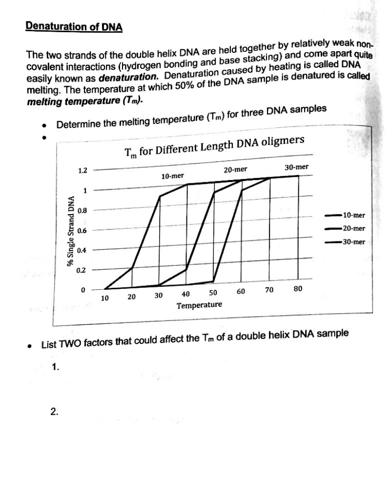 Denaturation of DNA
The two strands of the double helix DNA are held together by relatively weak non-
covalent interactions (hydrogen bonding and base stacking) and come apart quite
easily known as denaturation. Denaturation caused by heating is called DNA
melting. The temperature at which 50% of the DNA sample is denatured is called
melting temperature (Tm).
Determine the melting temperature (Tm) for three DNA samples
Tm for Different Length DNA oligmers
1.2
20-mer
30-mer
10-mer
1
10-mer
0.6
20-mer
0.4
30-mer
0.2
10
20
30
40
50
60
70
80
Temperature
List TWO factors that could affect the Tm of a double helix DNA sample
1.
2.
% Single Strand DNA
