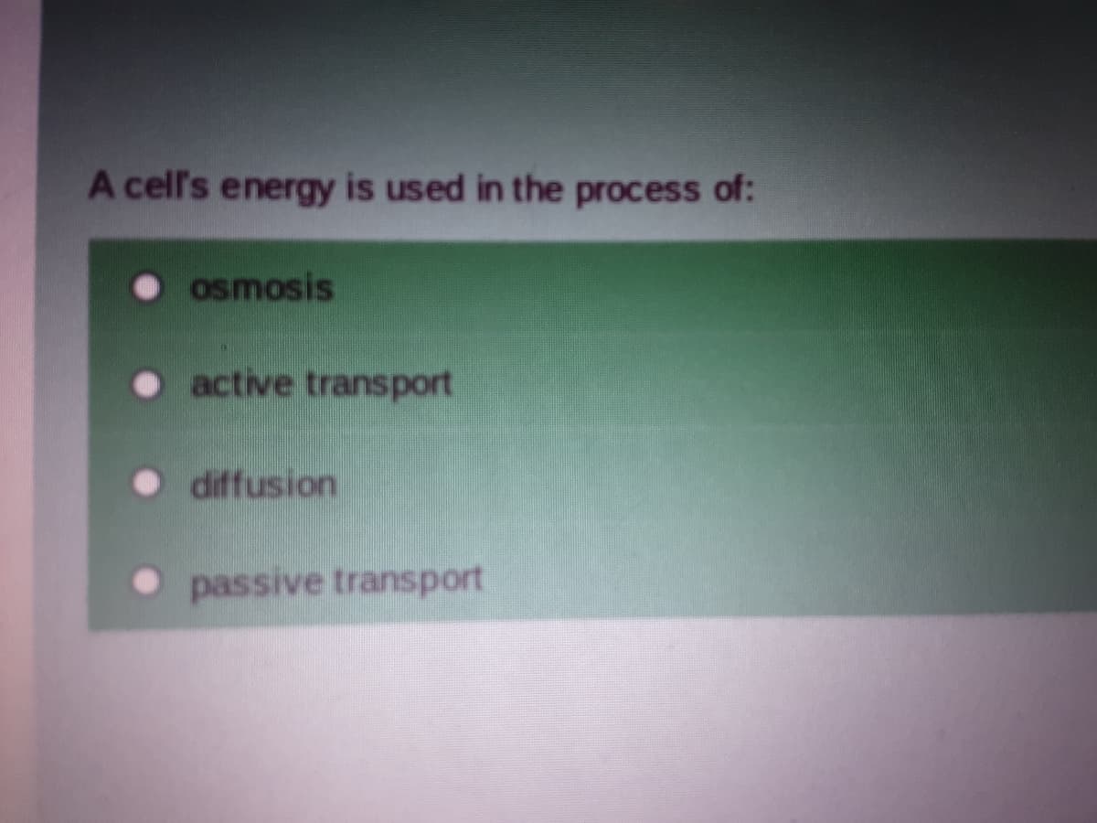 A cell's energy is used in the process of:
osmosis
active transport
diffusion
passive transport
